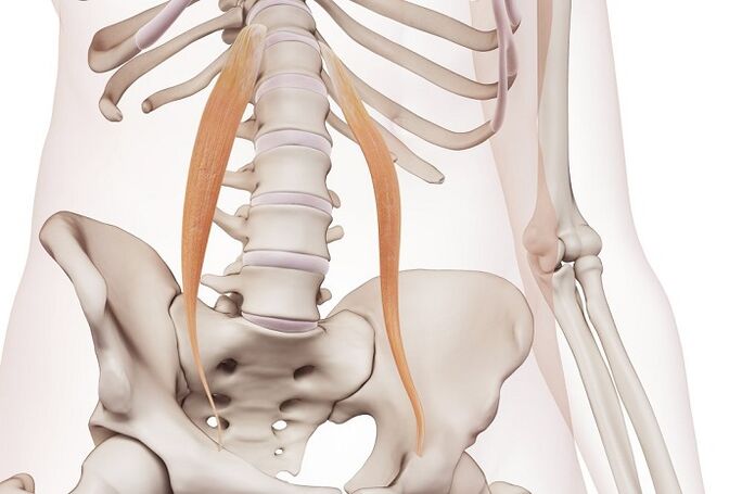 spinalna osteohondroza u lumbalnoj regiji suština bolesti